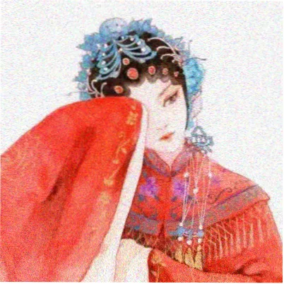读者苏木头像